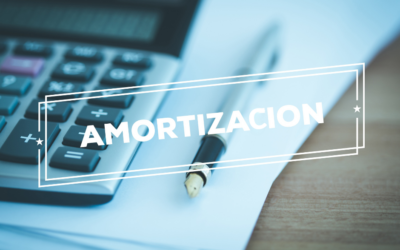 AMORTIZACION ACELERADA EN ENTIDADES DE REDUCIDA DIMENSION.