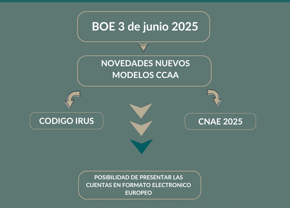 NOVEDADES EN LOS MODELOS OFICIALES DE CUENTAS ANUALES 2024